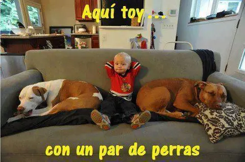 humor