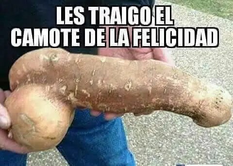 parte 14