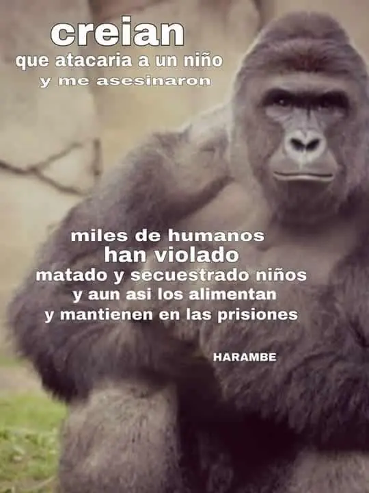 Gracia