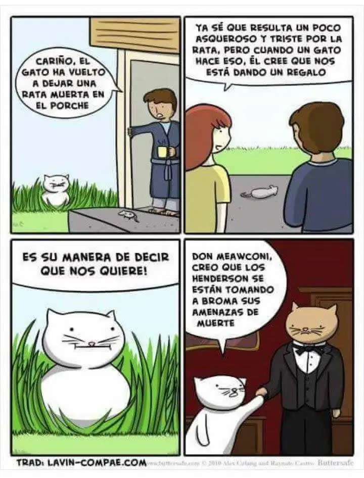 Imagenes graciosas