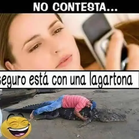 Humor