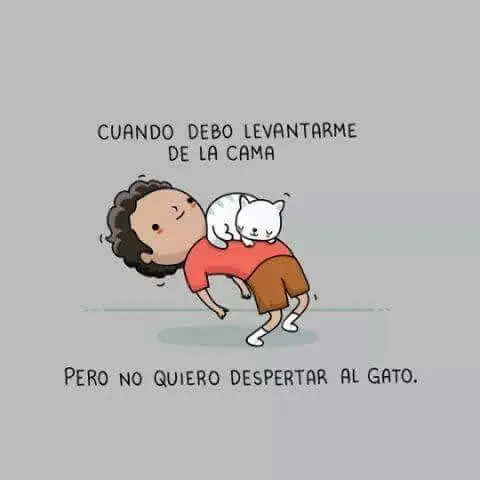 Imágenes Graciosas parte #14 -Sabado-