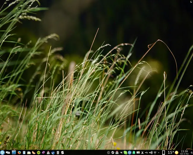 Linux Linux