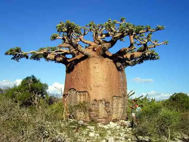 naturaleza