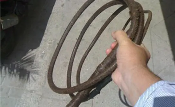 ensenaron