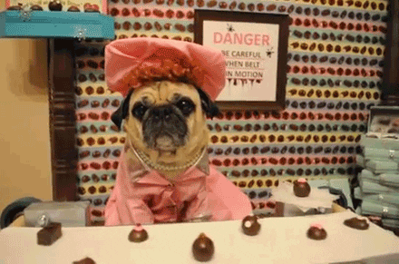 16 cosas que sólo quienes aman el chocolate entenderán 16 cosas que sólo quienes aman el chocolate entenderán