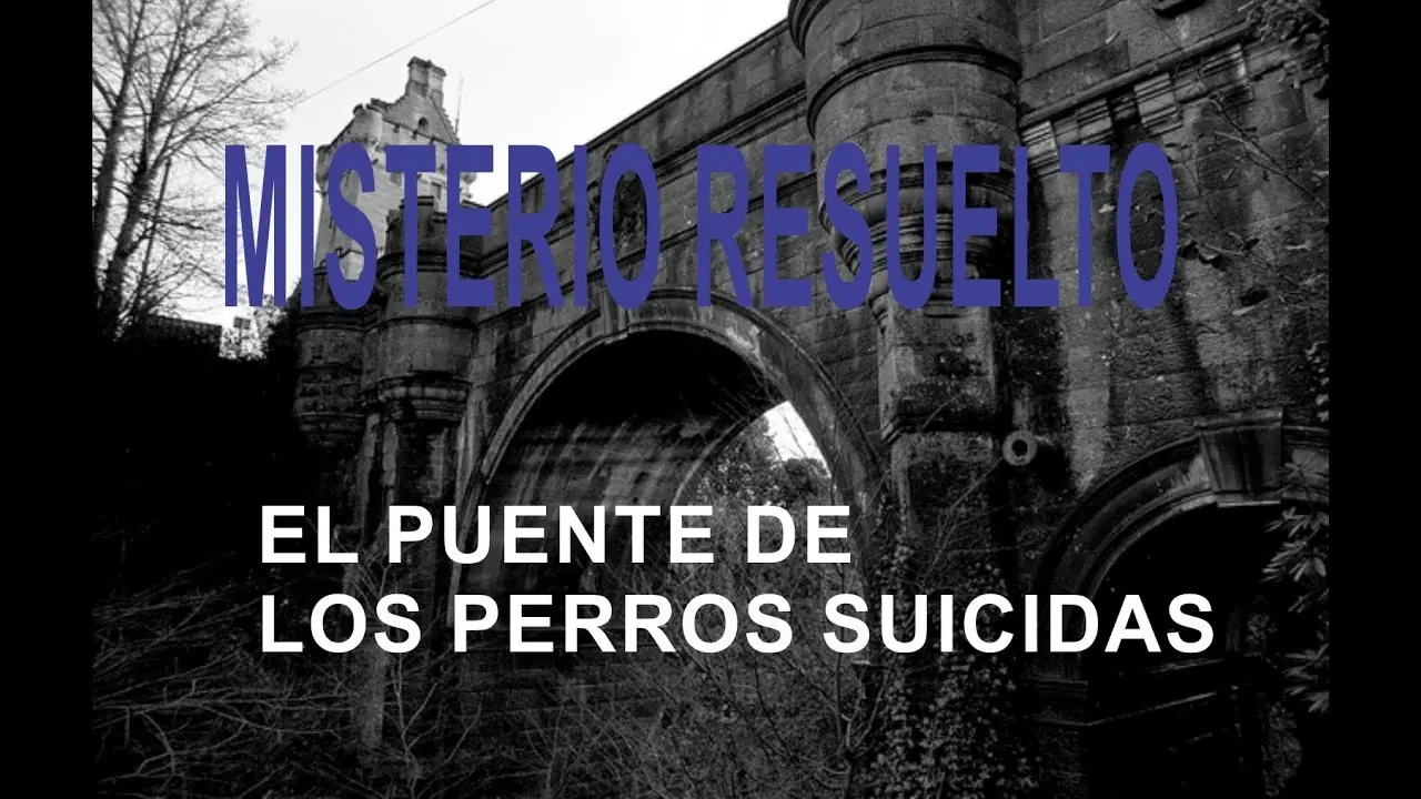 Misterio resuelto "El puente de los perros suicidas"