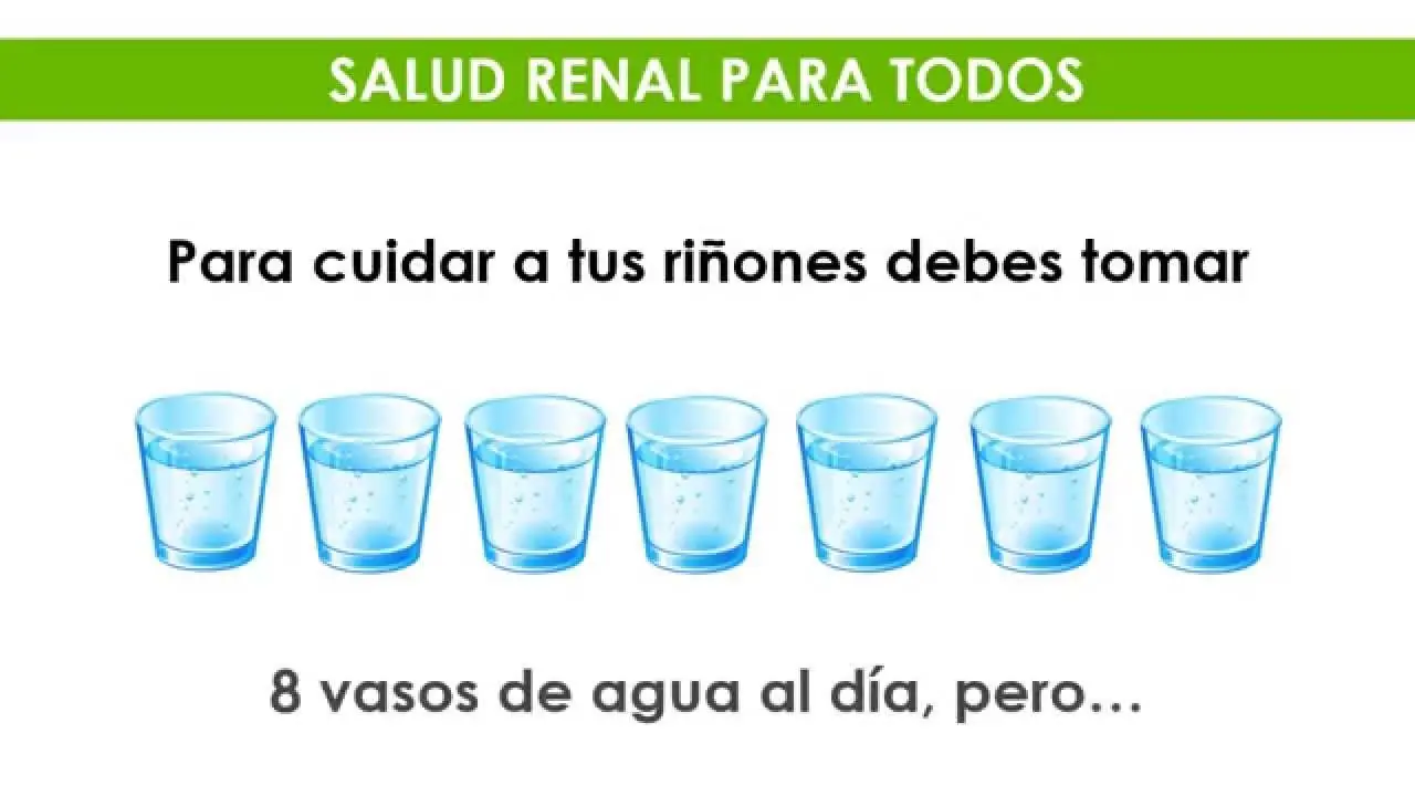 curiosidades curiosidades
