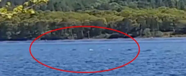 Turista graba parte del cuerpo del monstruo del lago Ness