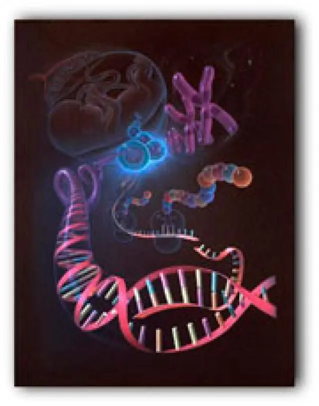 ciencia