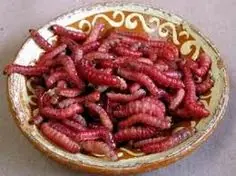 abundancia en alimentos abundancia en alimentos