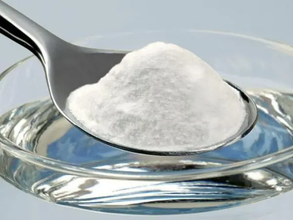 Todos los T! Con dientes blancos con este post Todos los T! Con dientes blancos con este post