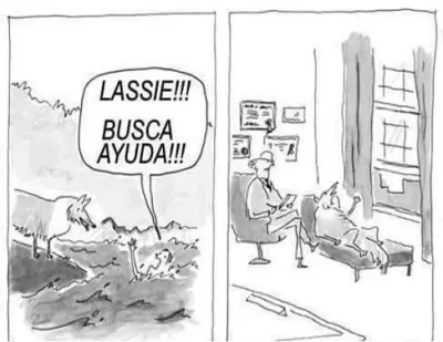 imagenes