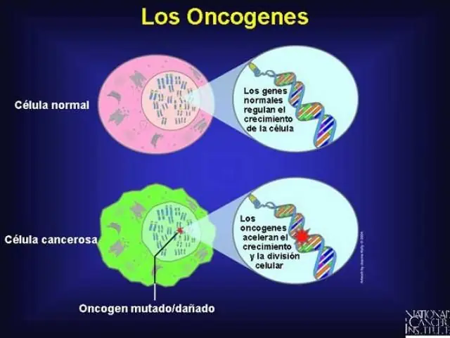 ciencia