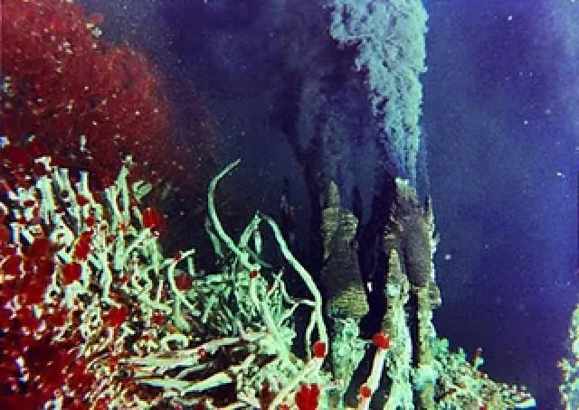 cientificos