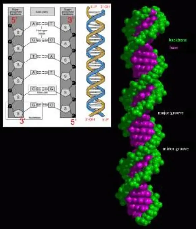 ciencia