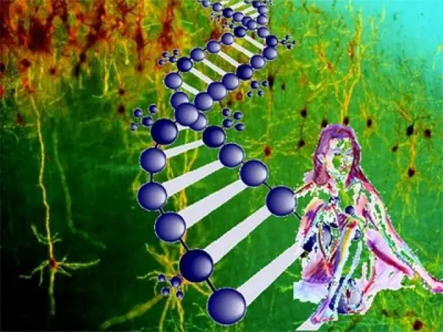 ciencia