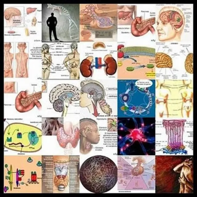ciencia