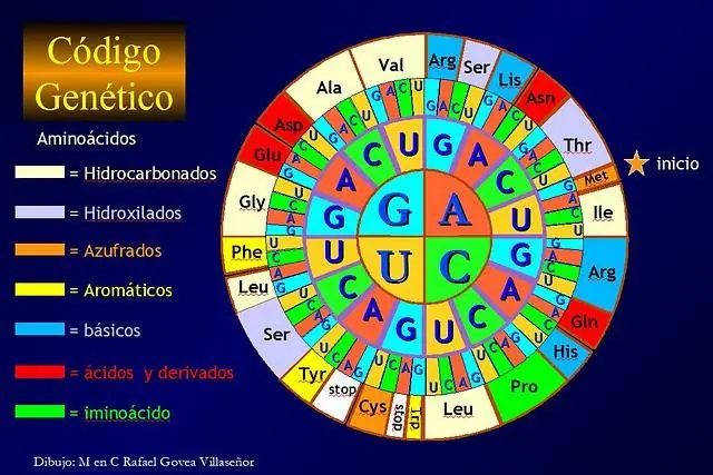educacion