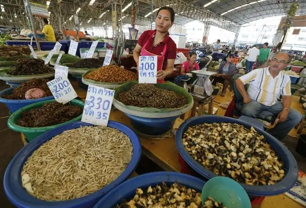 comidas del futuro comidas del futuro