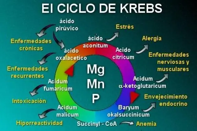 cientificos