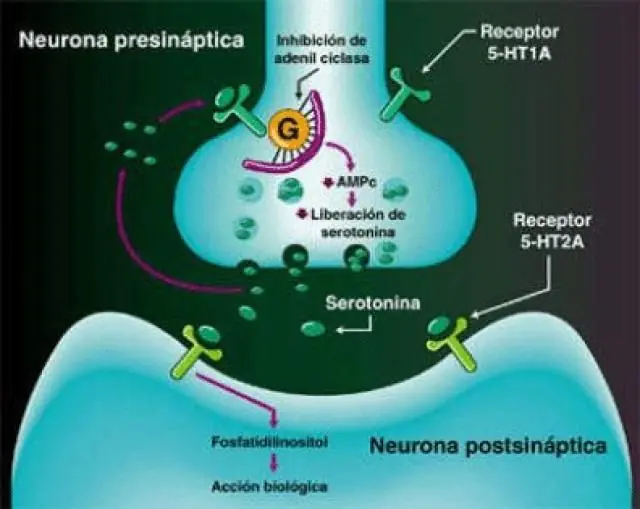 cientificos