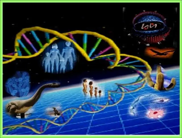 ciencia