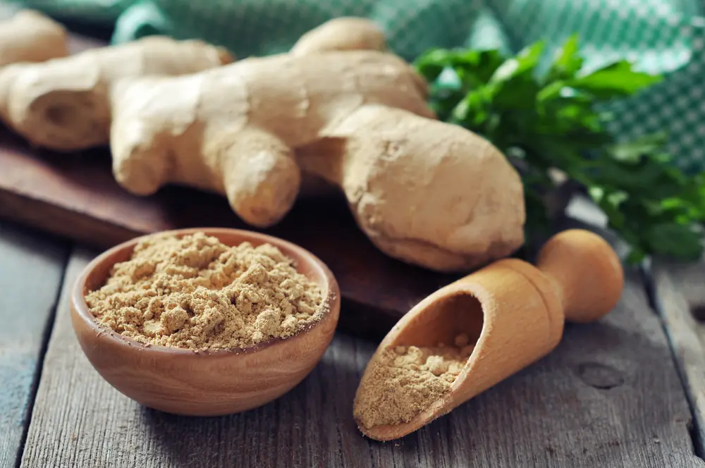 15 antibióticos que podemos encontrar en la naturaleza 15 antibióticos que podemos encontrar en la naturaleza
