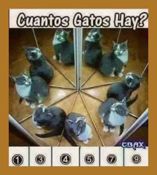 acertijos