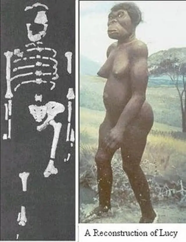 ciencia