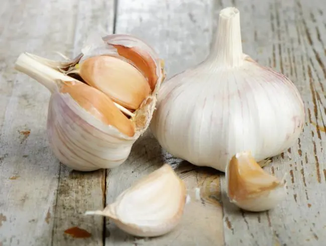 Fortalece tu sistema inmune con estos 5 alimentos...
