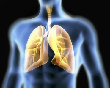 ¿Cómo se descubrió el oxigeno y que es? | Inteligencia colec