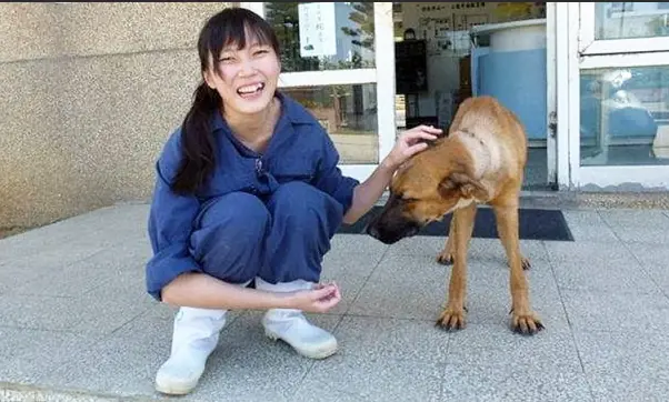 veterinaria