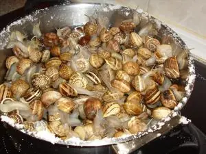 caracol