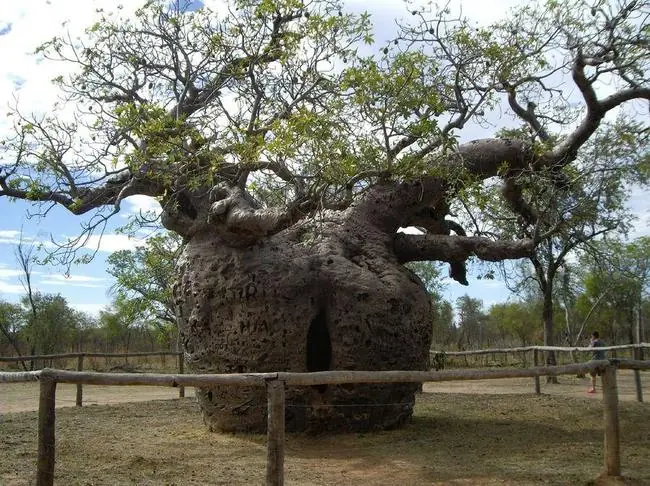 ecologia