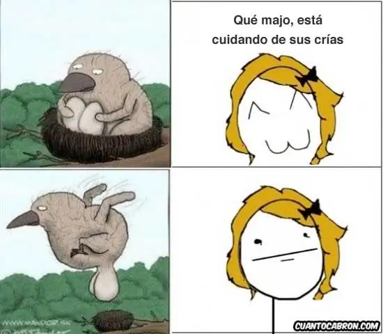 imagenes