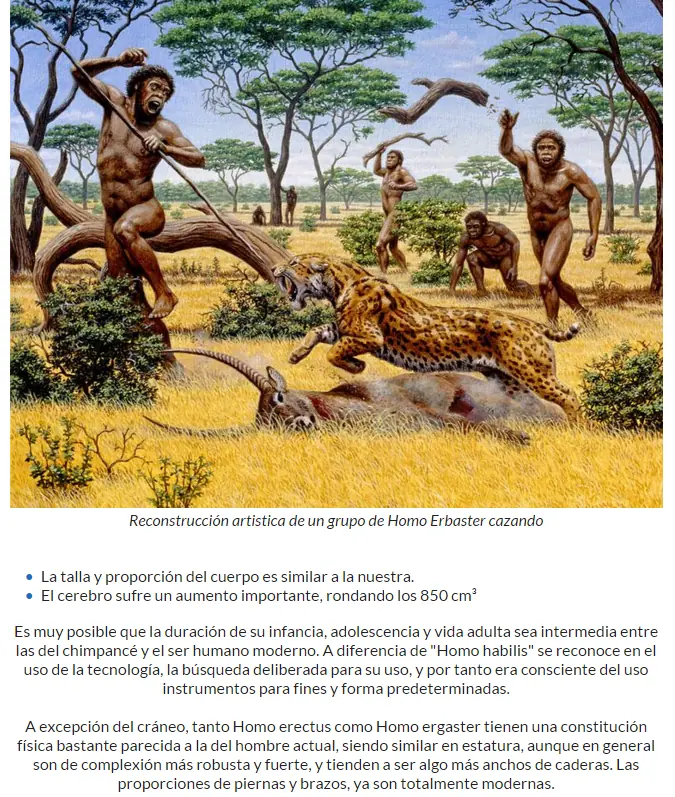 La historia de nuestra especie