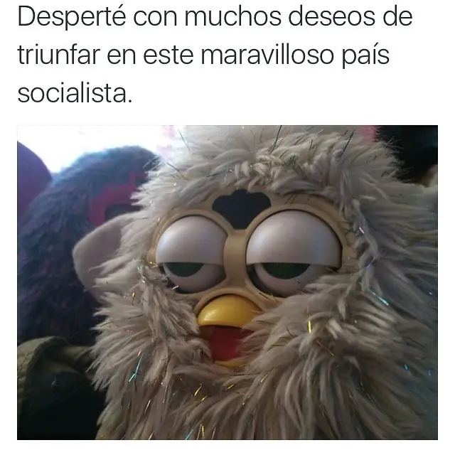 humor de mier