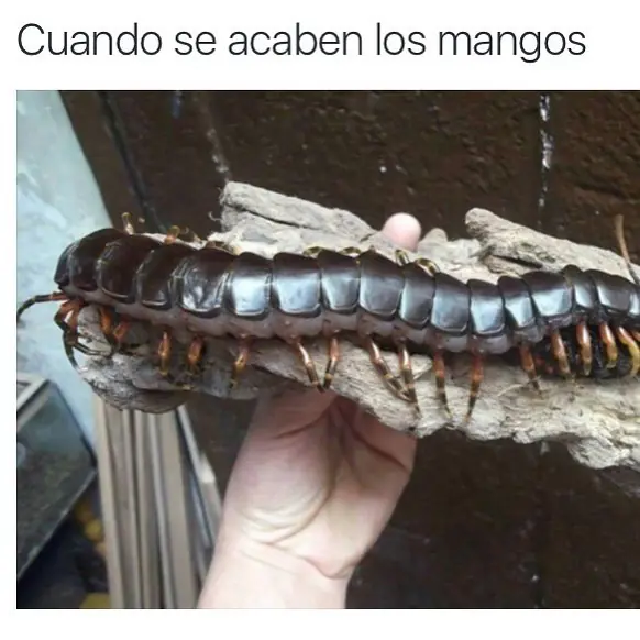 Humor Venezolano Parte 1