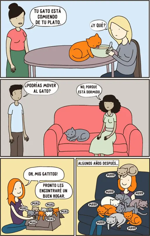Imágenes Graciosas Robadas [2]