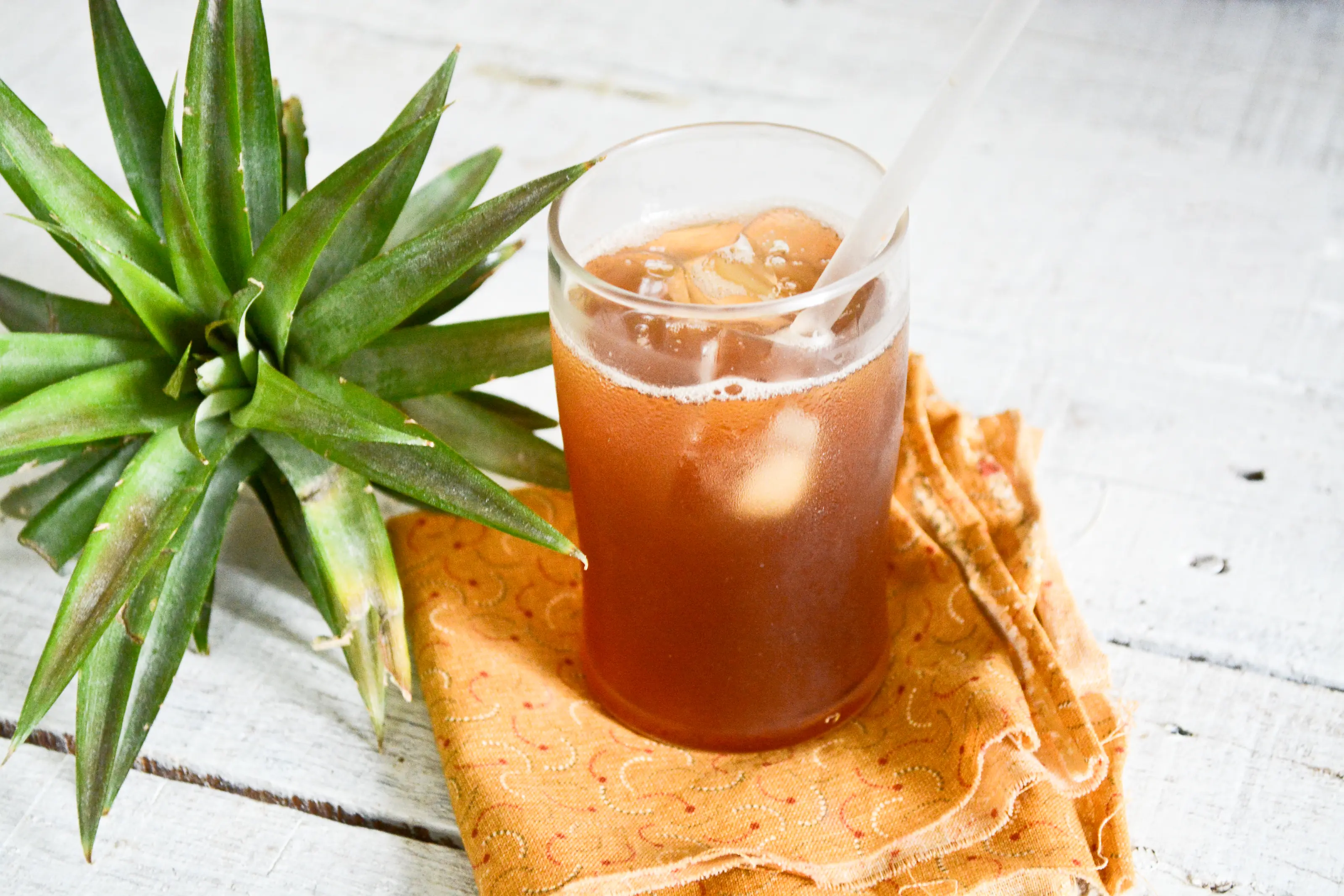 bebidas fermentadas