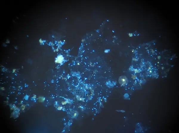 Experimento convierte el CO2 en piedra