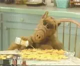 Alf