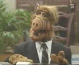 ALF, la serie de los 80