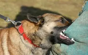 sida