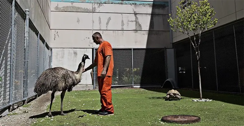 zoologico