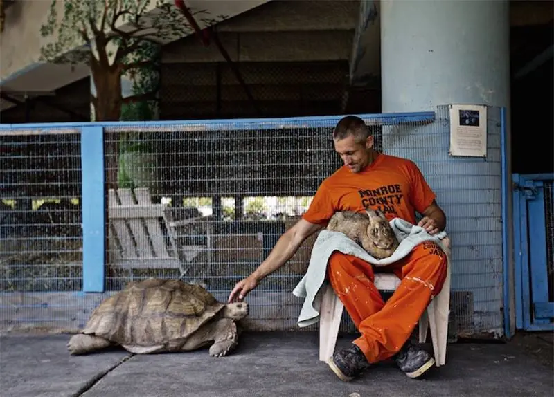 zoologico en carcel