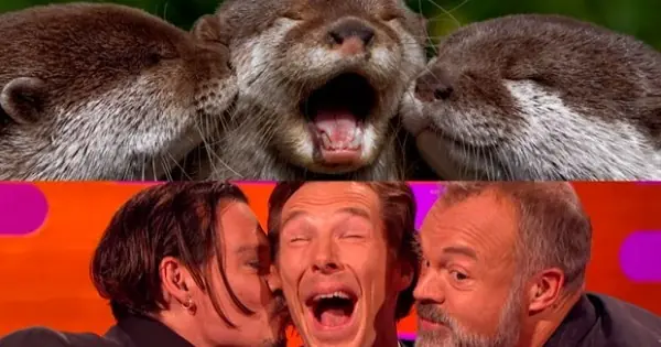 Benedict Cumberbatch y Johnny Depp IMITAN NUTRIAS