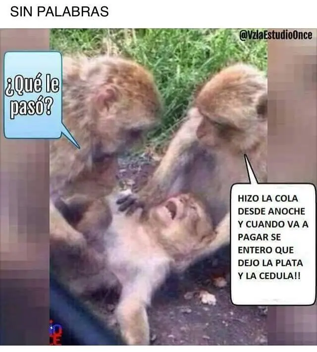 humor venezolano