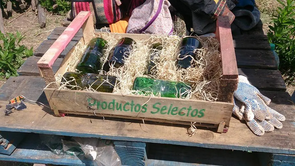 permacultura